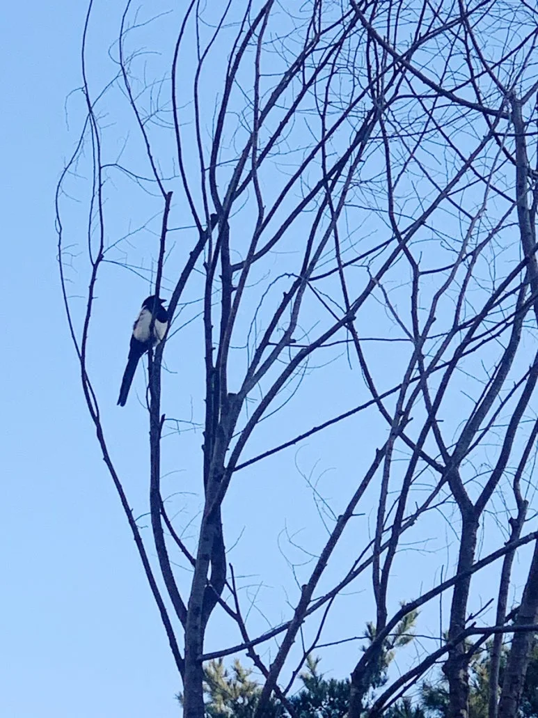 output_4112415672.jpg?type=w773