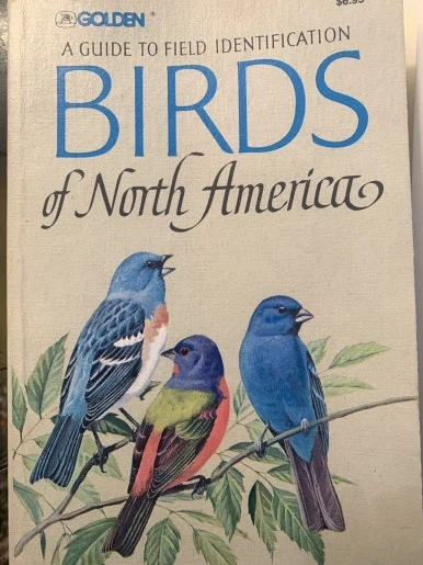 IMG_1790.JPG?type=w386