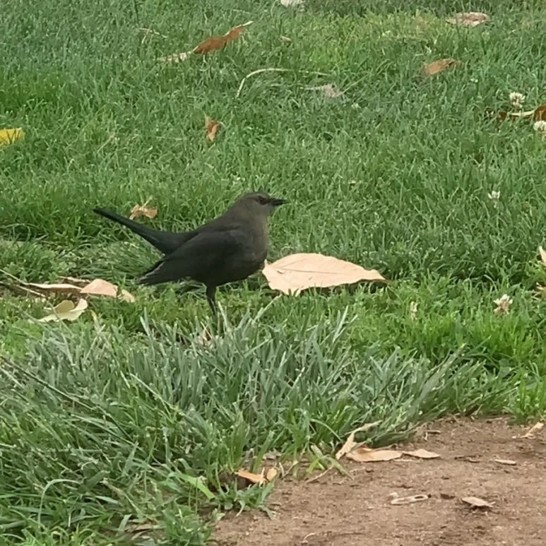 output_254687607.jpg?type=w773