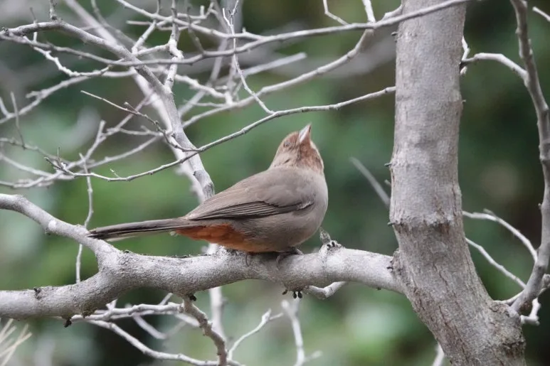 DSC03749.JPG?type=w773