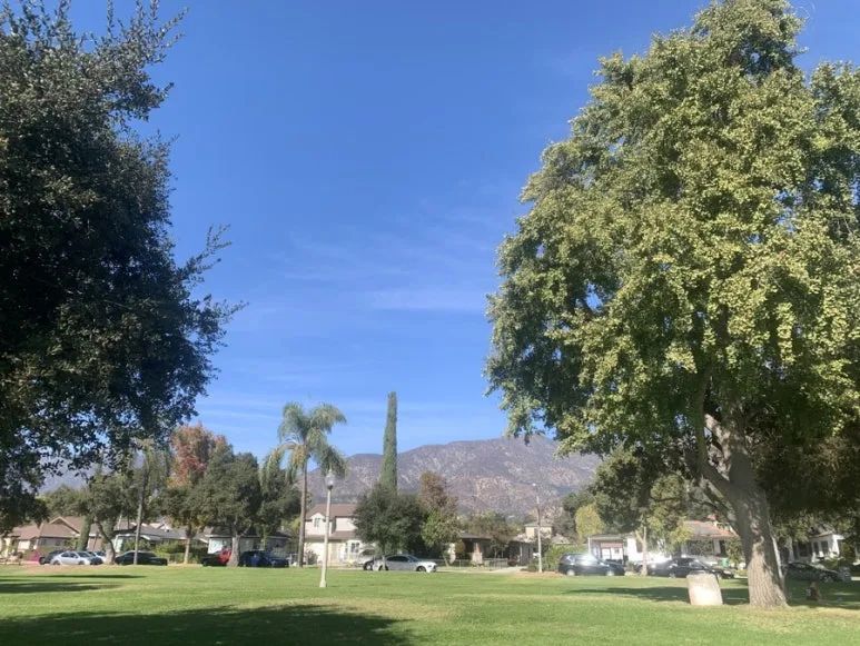 IMG_9499.JPG?type=w773