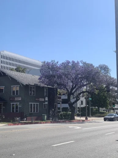 IMG_4104.JPG?type=w386