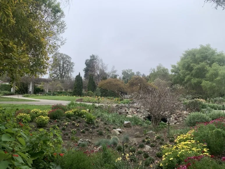 IMG_2755.JPG?type=w773