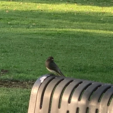 SE-466CB0EF-C473-485A-99C1-D48216375ECE.jpg?type=w386