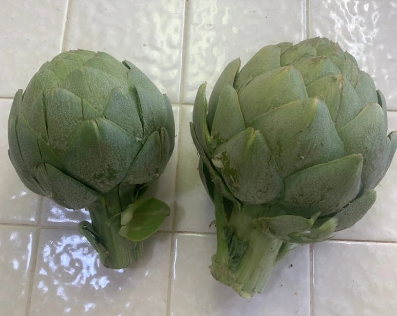 SE-0BAA5494-8D30-4FB0-8EA4-AA1D6EAC5165.jpg?type=w773