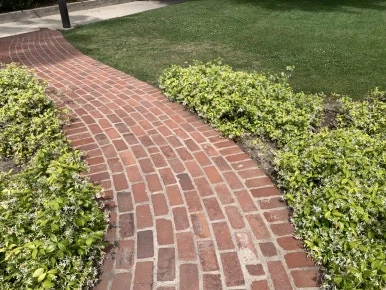 IMG_3960.JPG?type=w386