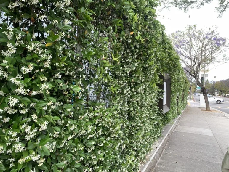 IMG_3983.JPG?type=w773