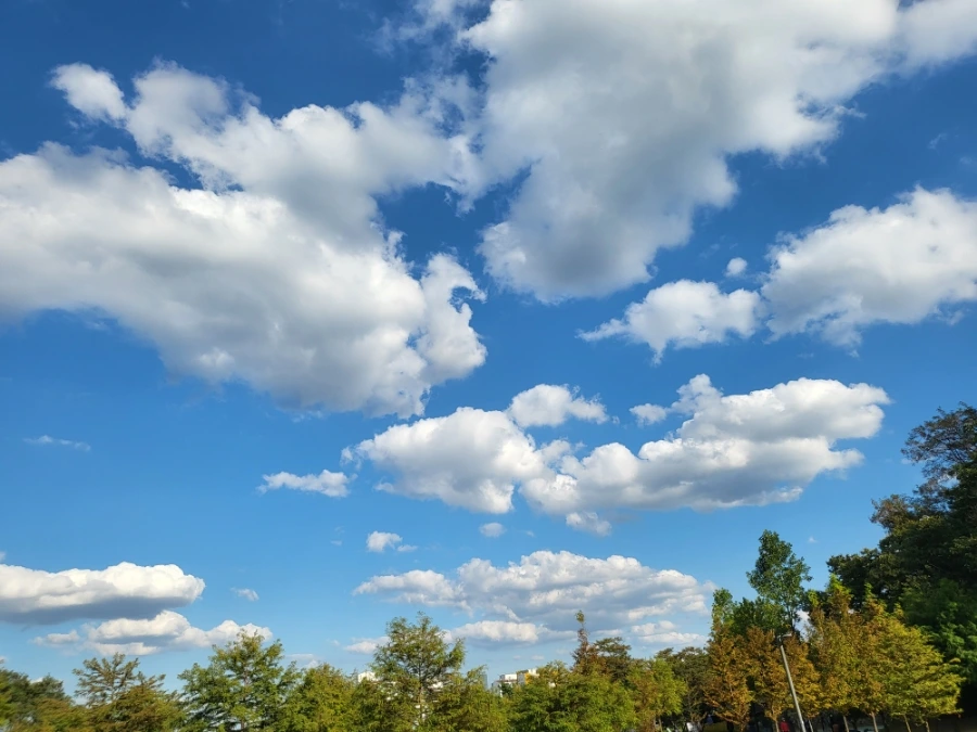 20221008%EF%BC%BF154300.jpg?type=w966