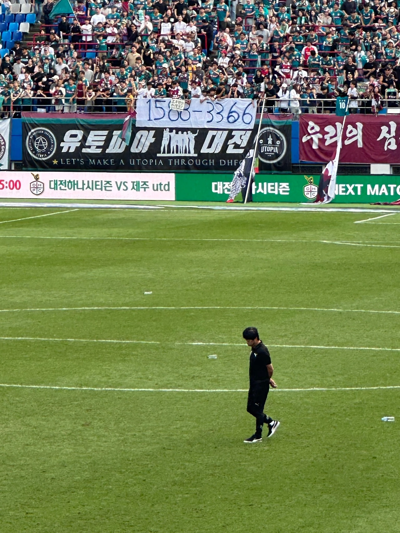 IMG_4262.JPEG
