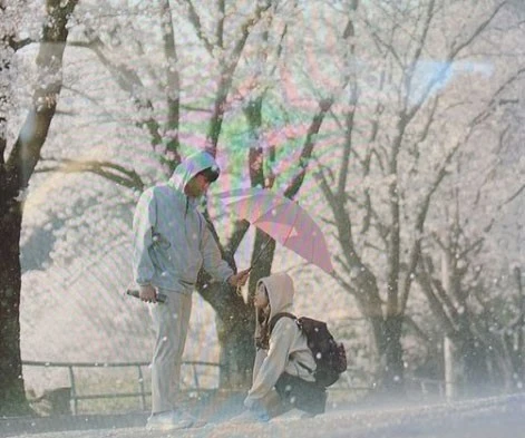 ?src=http%3A%2F%2Fblogfiles.naver.net%2FMjAyMTA0MjhfMjIw%2FMDAxNjE5NjA5MDY0MDY4.i2D_SIiEC4gMQrHLKTu26Oa3eYOx8ojvelRhGa_DqdUg.b5kTcD-1G-ACW1zX-weNkO0x2nixSlHuCsyMxyTC024g.JPEG.wvman%2Fnje20.jpg&type=sc960_832