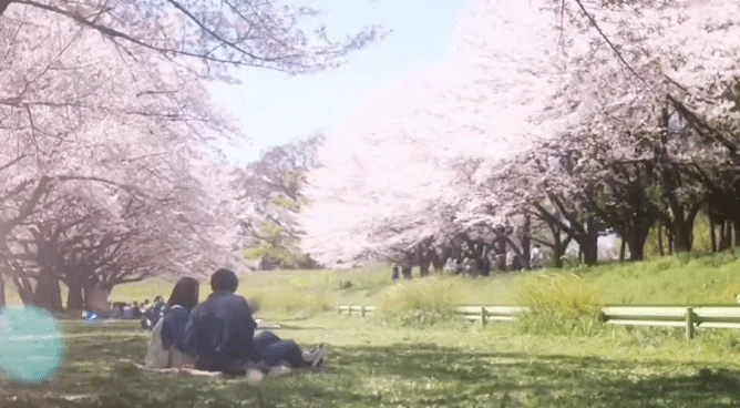 ?src=http%3A%2F%2Fblogfiles.naver.net%2FMjAyNDA5MzBfMjMz%2FMDAxNzI3Njg2MDAwMzM2.sOJc9Eptra84FwJIora9bbq6WNstHGFADQNkIne2vXEg.EOrKHtNXpDvdfAjRwJiv3ivIFA9XtCntHC-IcTaMk2wg.GIF%2FVideoEditor%25A3%25DF20240930%25A3%25DF053827%25A3%25DF12.gif&type=sc960_832_gif