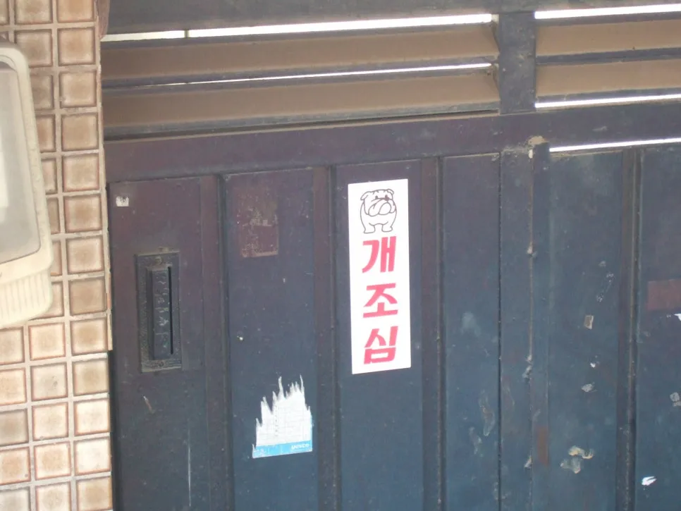 DSCF5378.JPG?type=w966