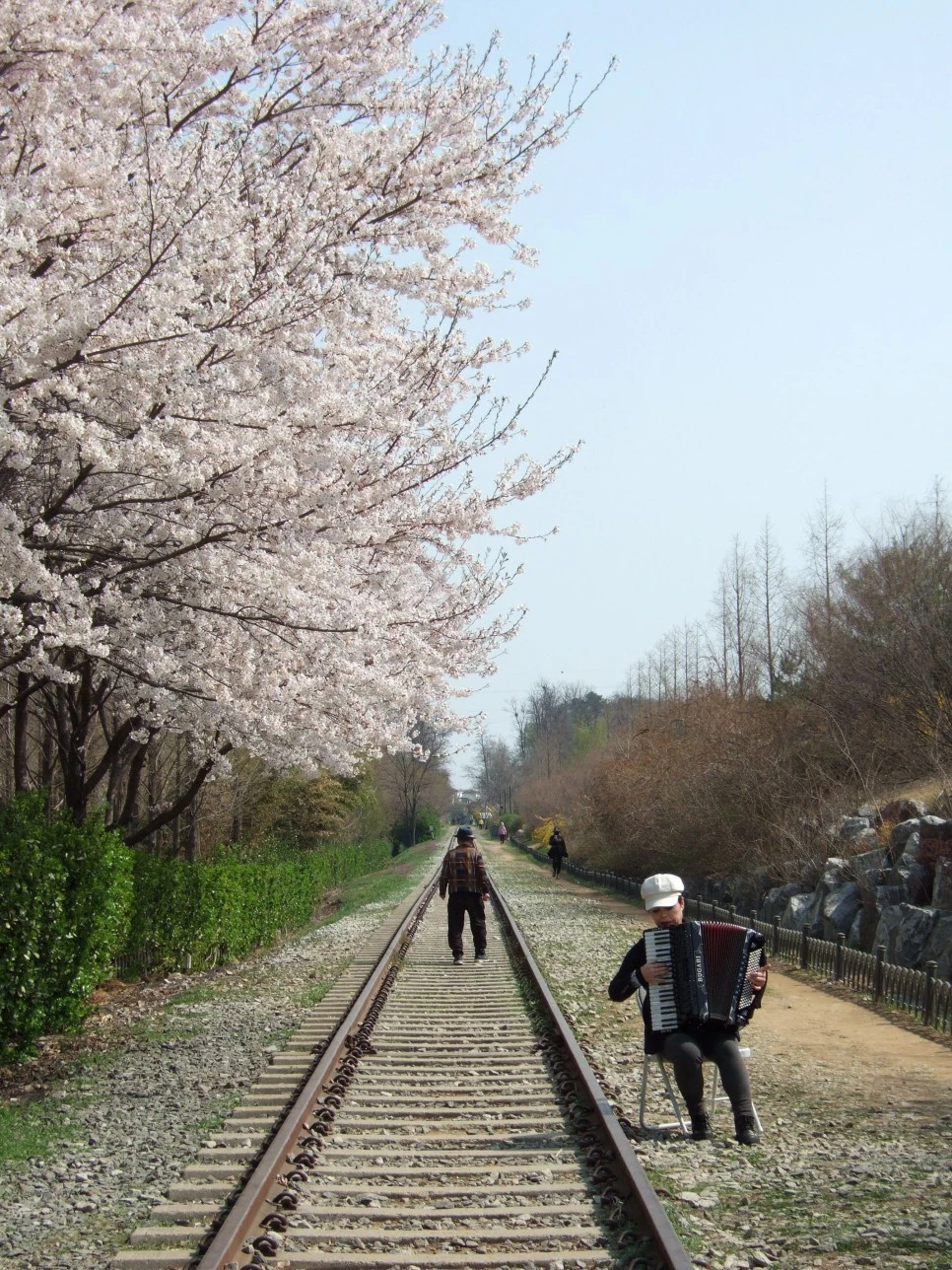 DSCF4591.JPG?type=w966