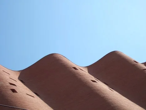 DSCF5462.JPG?type=w466