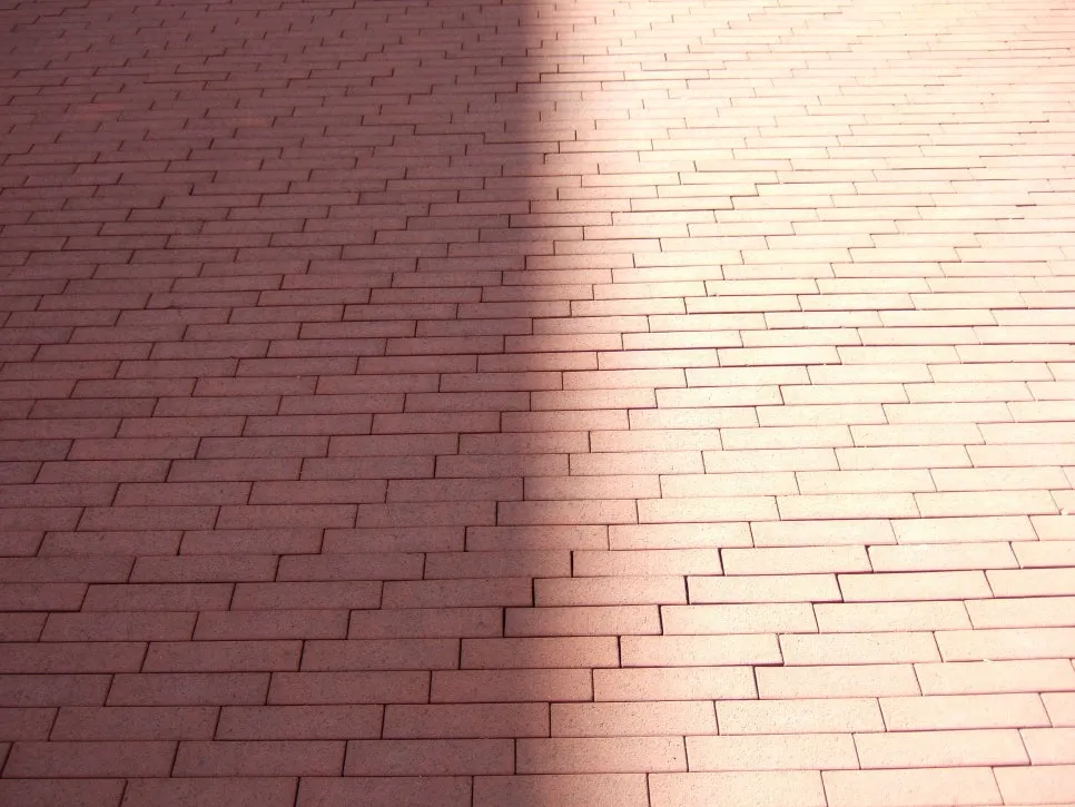 DSCF5409.JPG?type=w966