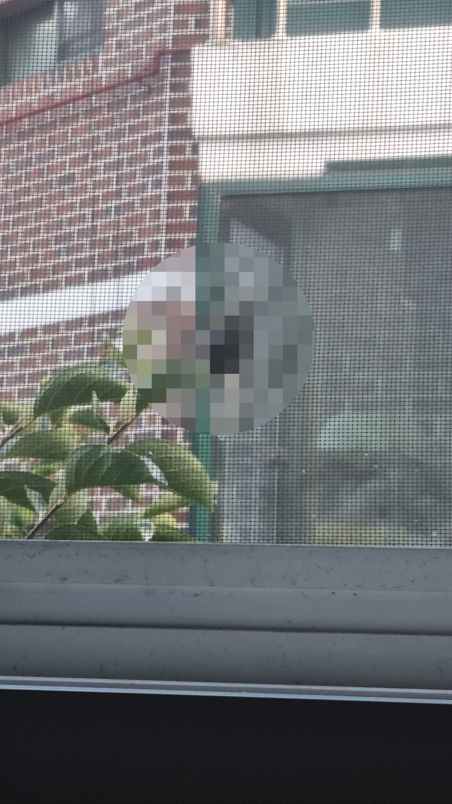 SE-26135c58-e6ce-4e2f-9e7b-07fbe96e09db.png?type=w966