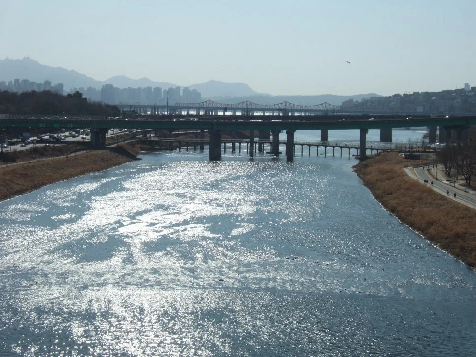 DSCF5459.JPG?type=w966