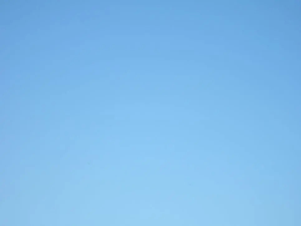 DSCF5362.JPG?type=w966