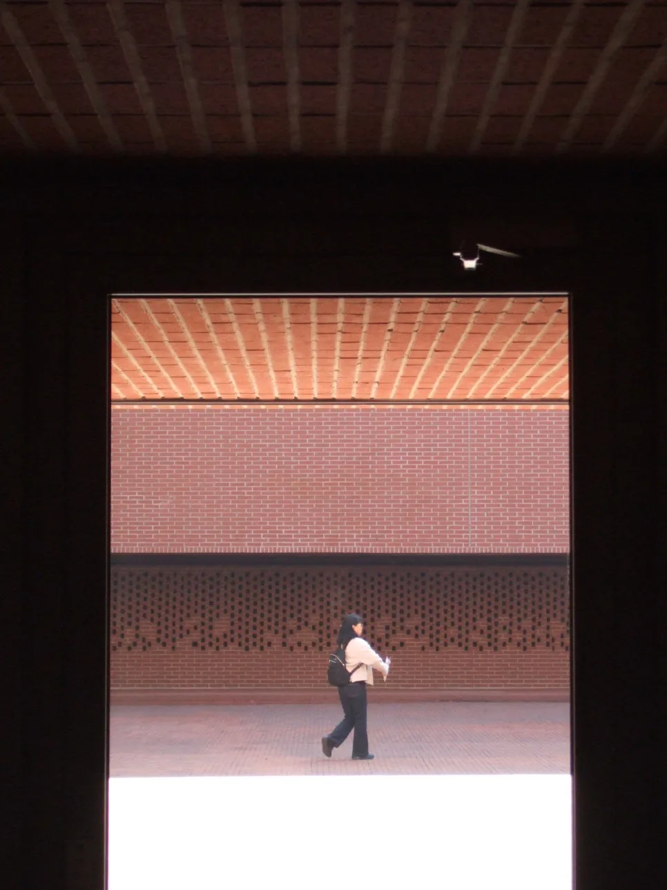 DSCF5424.JPG?type=w966