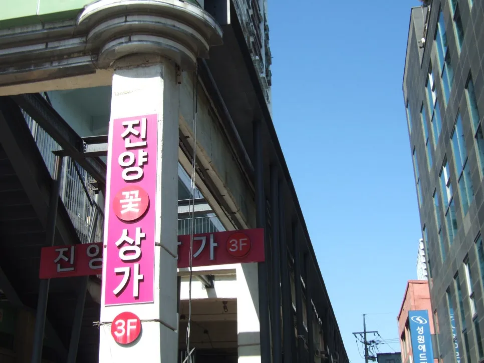 DSCF5446.JPG?type=w966