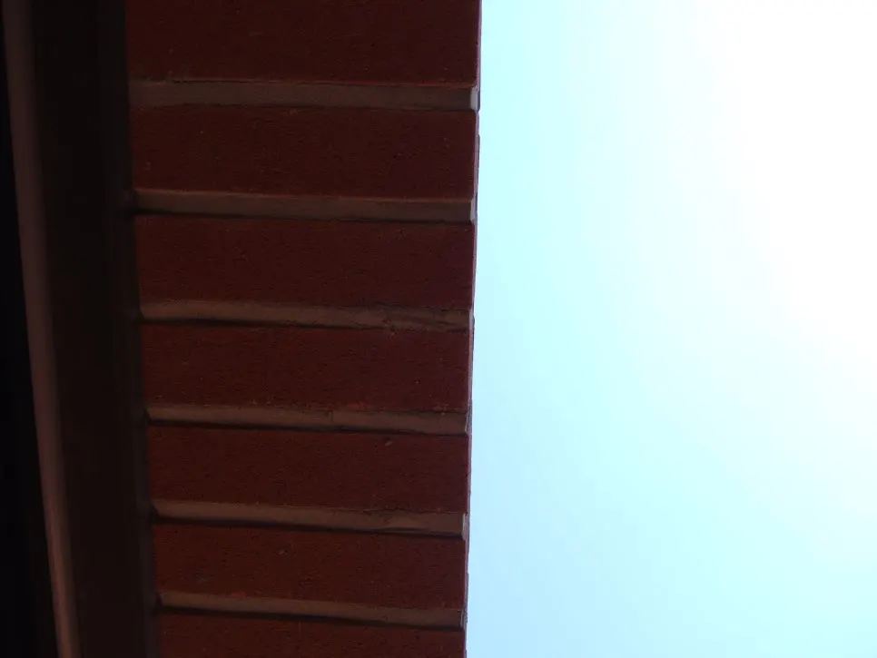 DSCF5395.JPG?type=w966