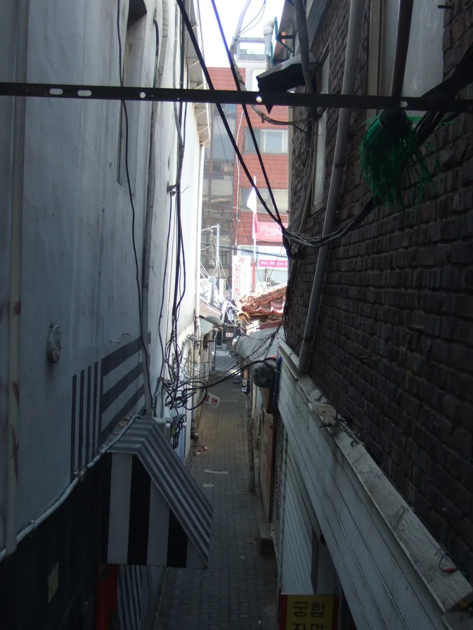 DSCF5369.JPG?type=w966