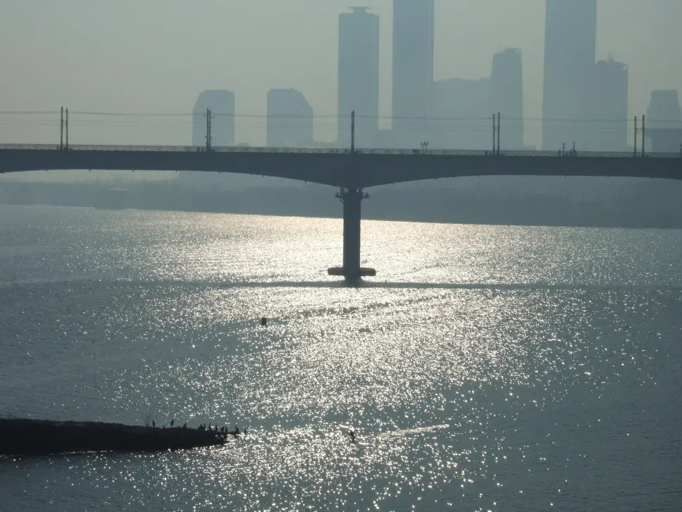 DSCF5361.JPG?type=w966