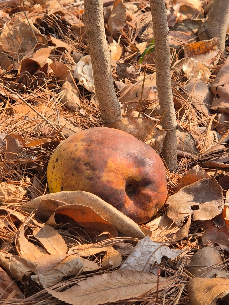 900%EF%BC%BF20250316%EF%BC%BF141123.jpg?type=w1