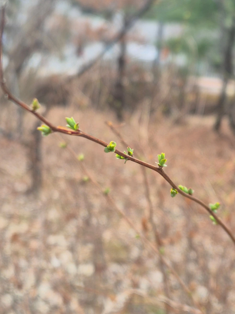 900%EF%BC%BF20250316%EF%BC%BF140601.jpg?type=w1