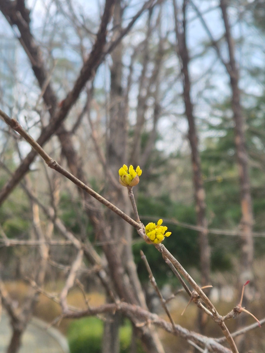 900%EF%BC%BF20250316%EF%BC%BF140726.jpg?type=w1