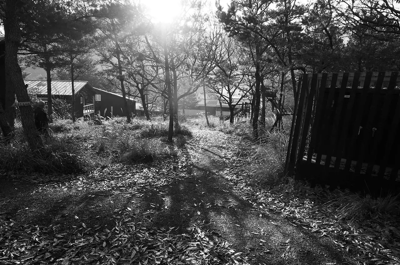 11947966_909211789171626_2655471879250811472_o.jpg?_nc_cat=107&ccb=1-7&_nc_sid=ba80b0&_nc_ohc=JeiCd-Vyy2MAX-SMD3J&_nc_ht=scontent-gmp1-1.xx&cb_e2o_trans=q&oh=00_AfC4Gx4Co_E5oXD3f3Vws4SVgt3iwxhKxhgquulJAokfRA&oe=652DCA0E