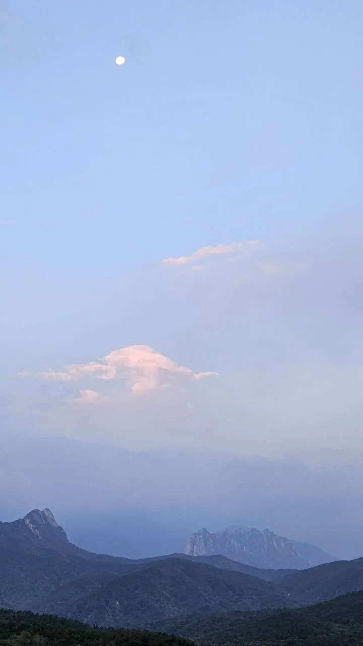 7ea6f348e078e422a32f39f59c931838ba181ae4