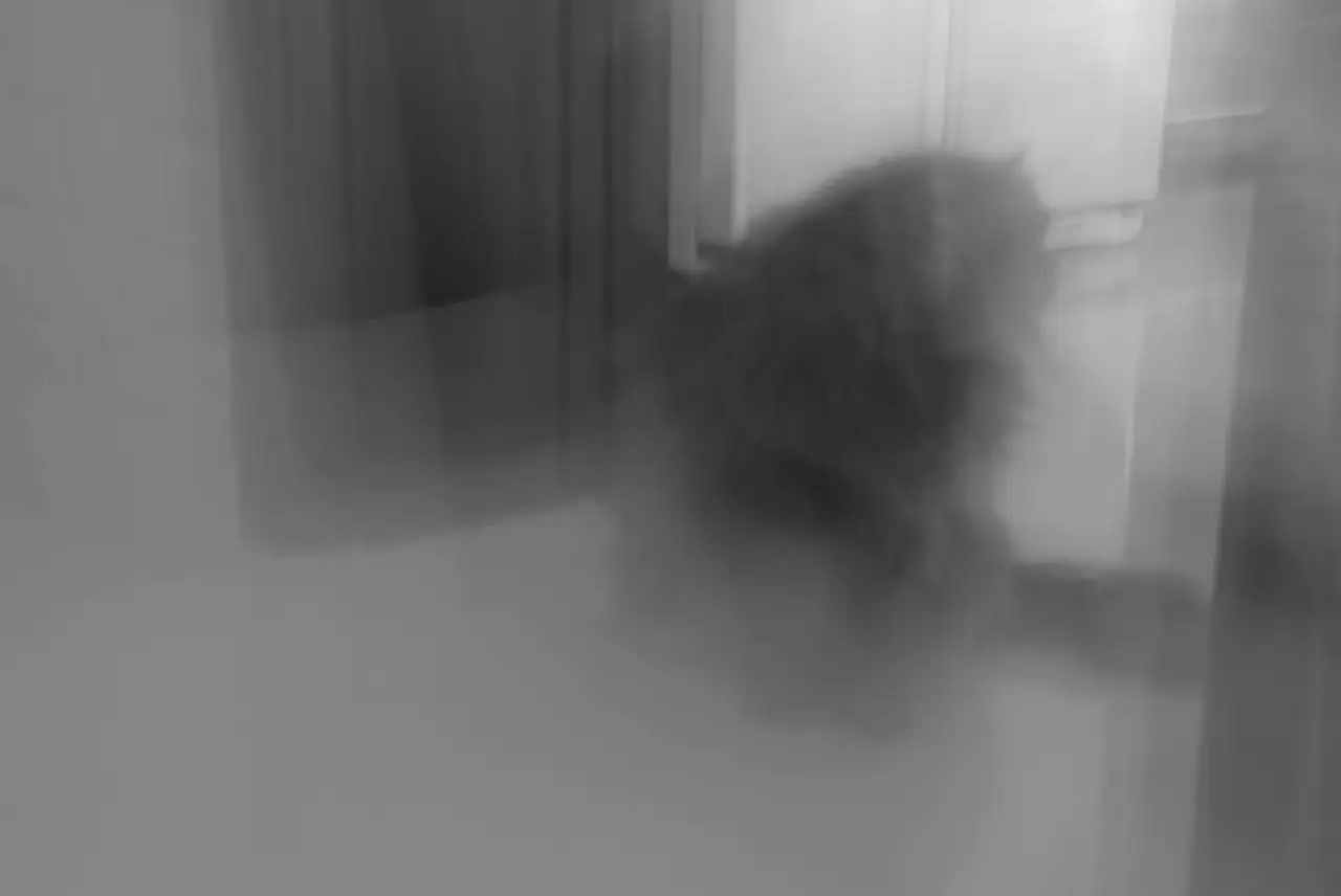 10514239_700931649999642_7304978911335364061_o.jpg?_nc_cat=101&ccb=1-7&_nc_sid=2c4854&_nc_ohc=-6cYOg2R82YAX-USMlP&_nc_ht=scontent-gmp1-1.xx&oh=00_AfBsHO7gVZyz5PS5mIEy5K0izof9dGuZ6-XaeIkrGsRIdw&oe=65134435