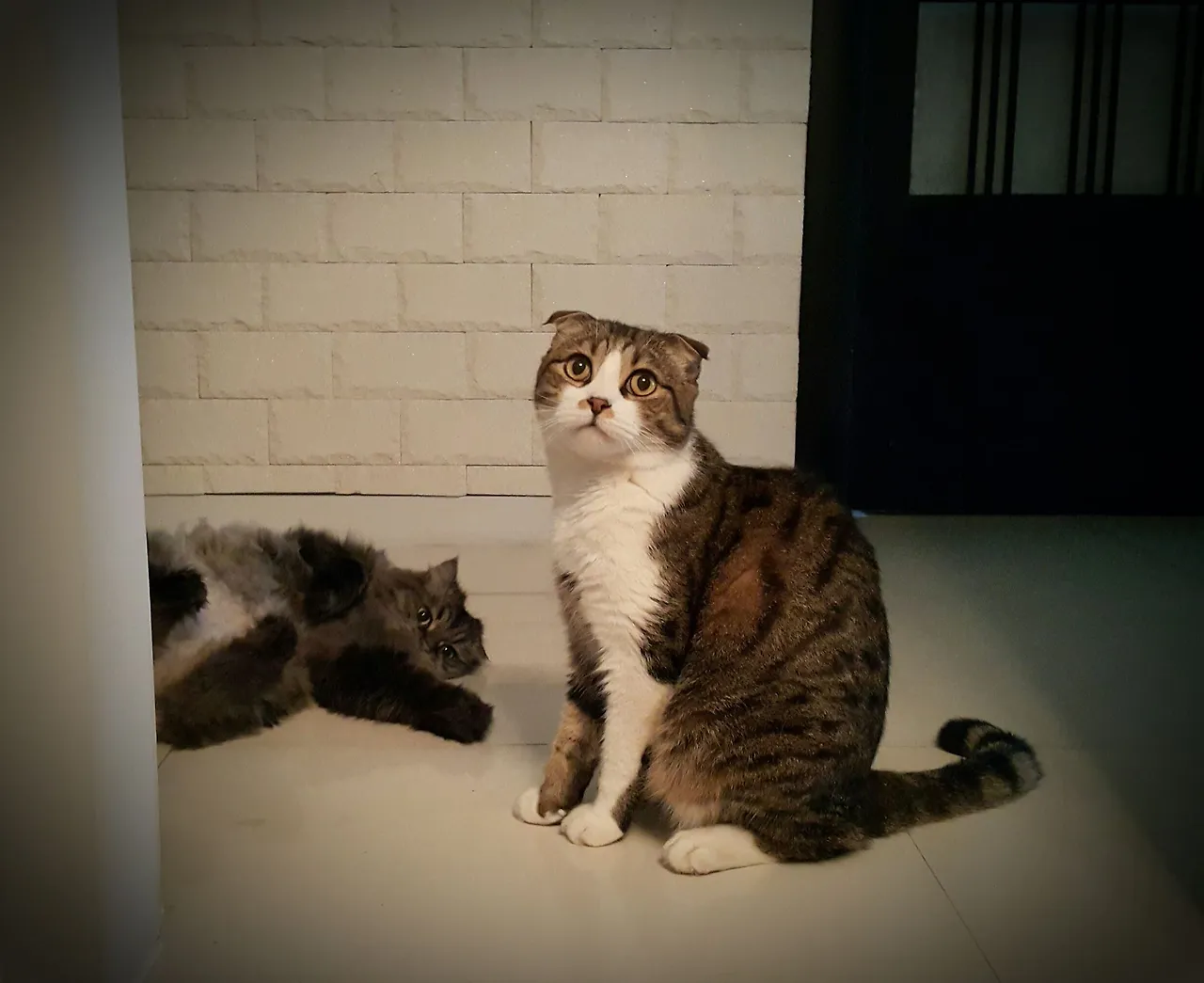 12484782_963842693708535_699137545614331108_o.jpg?_nc_cat=105&ccb=1-7&_nc_sid=ba80b0&_nc_ohc=bR1VPIgvDtAAX9FRyfX&_nc_ht=scontent-gmp1-1.xx&oh=00_AfDuvr5SYPy88O97Y0IyDkShjHIyNB30LdDfz-BSYwaJFw&oe=65135804