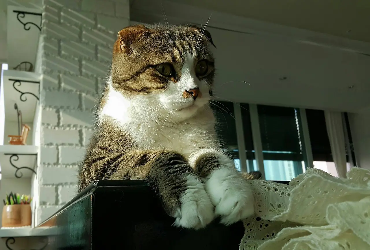 17017102_1309815379111263_7038109944196255075_o.jpg?_nc_cat=106&ccb=1-7&_nc_sid=8bfeb9&_nc_ohc=QDOrdXKHVX0AX_Czcx_&_nc_ht=scontent-gmp1-1.xx&oh=00_AfD2hPyR7MhWA0vkBhfxB6IlmdpFXOkh74n9a-WYSlBoUw&oe=651355D5