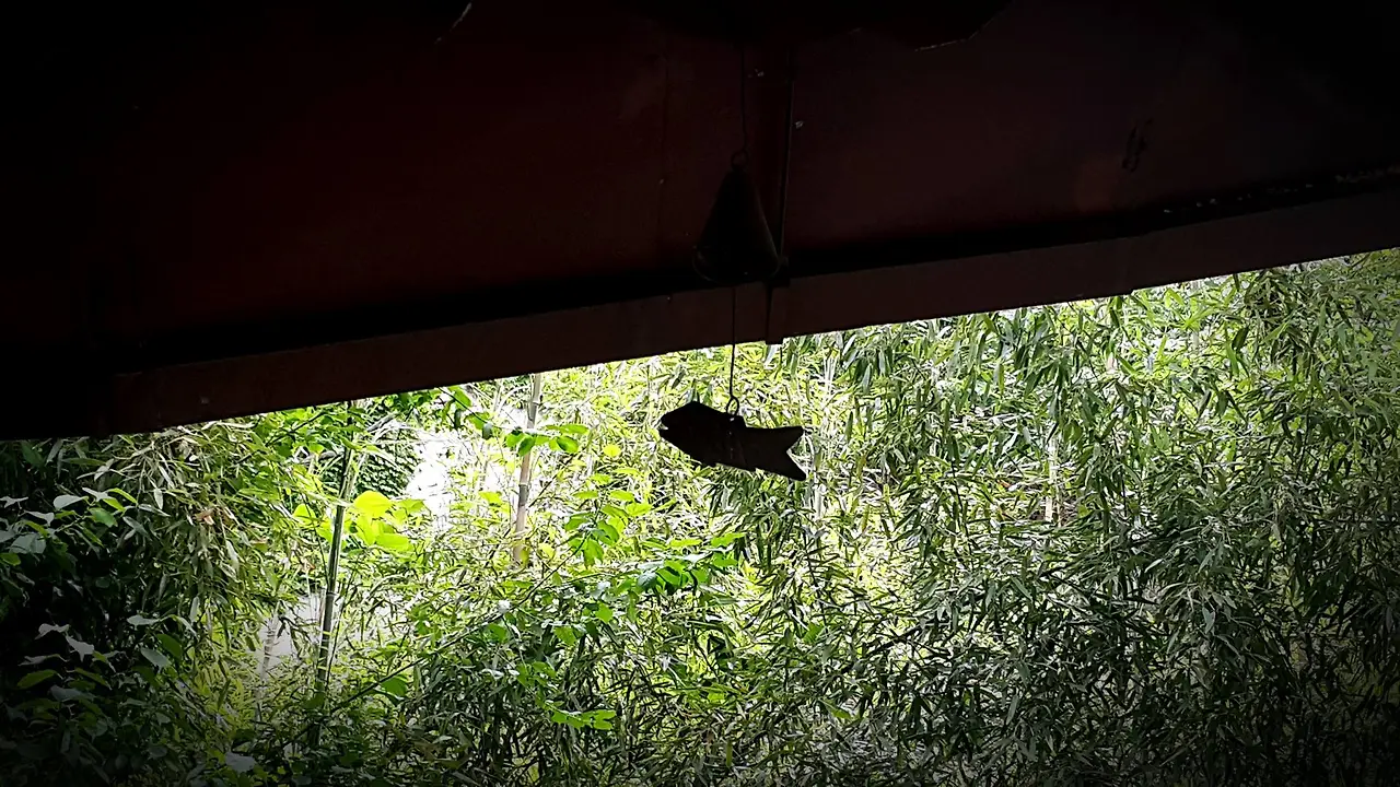 13391417_1070531069706363_2026462822833883818_o.jpg?_nc_cat=104&ccb=1-7&_nc_sid=8bfeb9&_nc_ohc=20csLwEloxEAX_-faNi&_nc_ht=scontent-gmp1-1.xx&oh=00_AfAF9_fQqnvt3Se8Wd9zz2Rqd1_f8Jjcs3ZmEj_SyMv11A&oe=651355D6