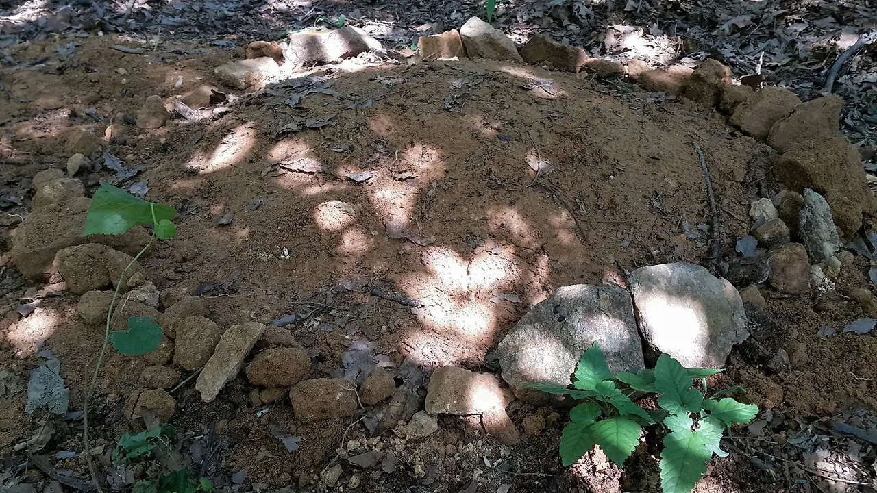 21427368_1507646372661495_6204208805866860420_o.jpg?_nc_cat=107&ccb=1-7&_nc_sid=8bfeb9&_nc_ohc=rk7GH4RPKK8AX_ftQ3N&_nc_ht=scontent-gmp1-1.xx&oh=00_AfBWvV2u5Ni3n_LENFOE-Oi8Wcb7sxG3y180SxG-wwfpWg&oe=65137909