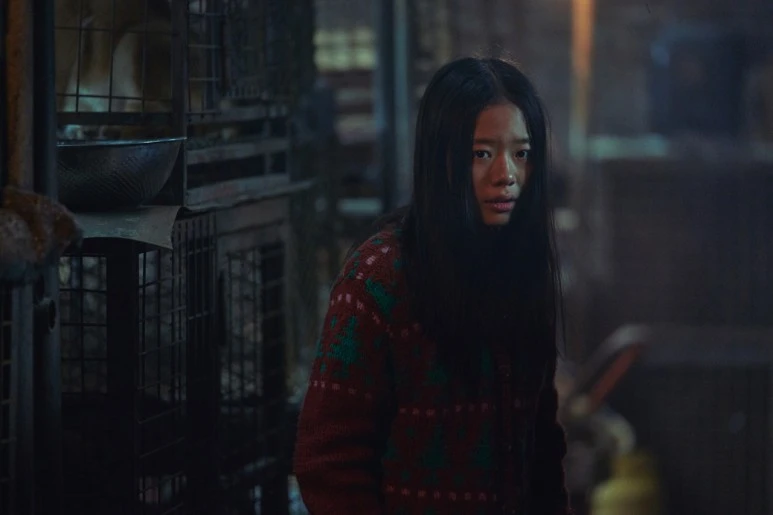 common_(9).jpg?type=w773