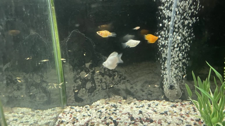 KakaoTalk_20230902_001859716.jpg?type=w773