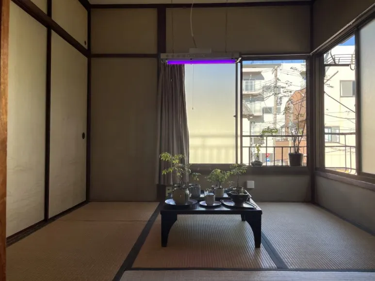 common_-_2025-01-18T135653.253.jpg?type=w773