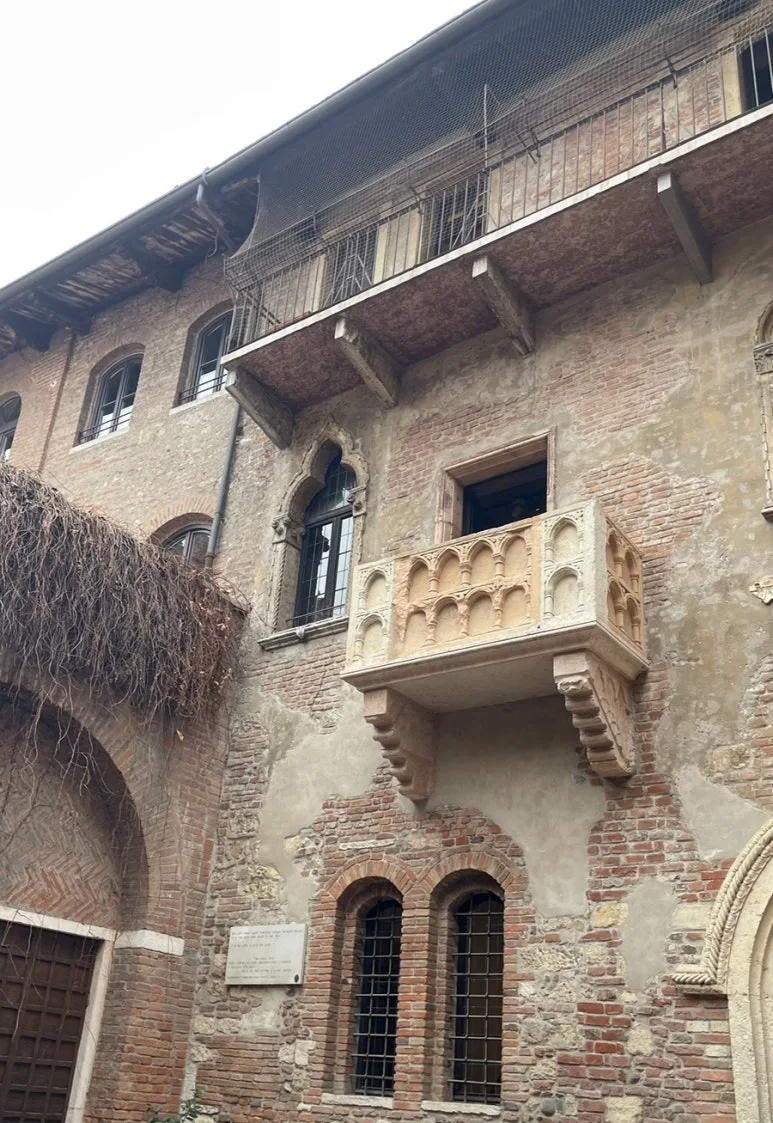 IMG_7487.jpg?type=w773