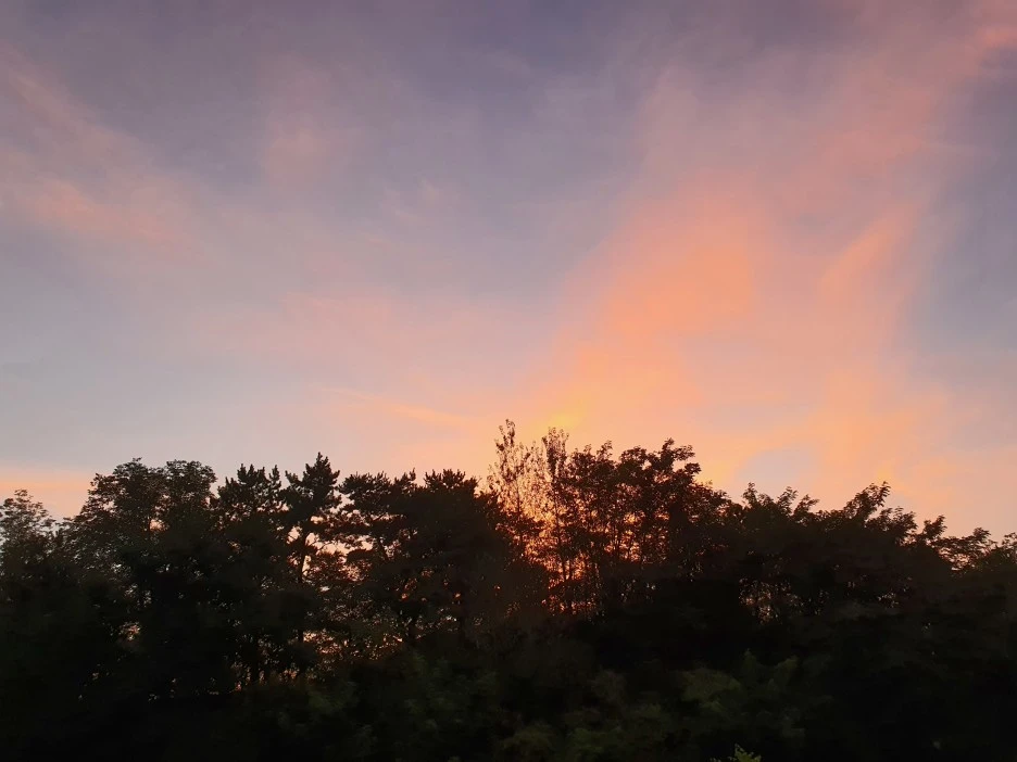 KakaoTalk_Photo_2023-08-09-20-58-42.jpeg?type=w1