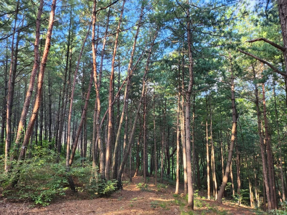 KakaoTalk_Photo_2023-08-07-22-43-47_008.jpeg?type=w1