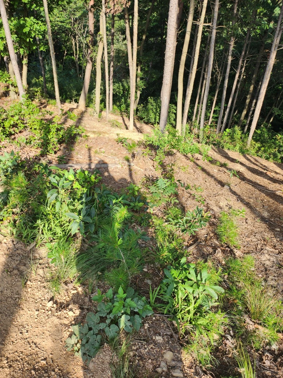 KakaoTalk_Photo_2023-08-07-22-43-44_002.jpeg?type=w1