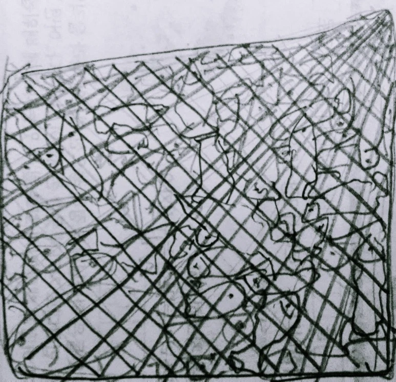 20200301_185243_3.jpg?type=w773