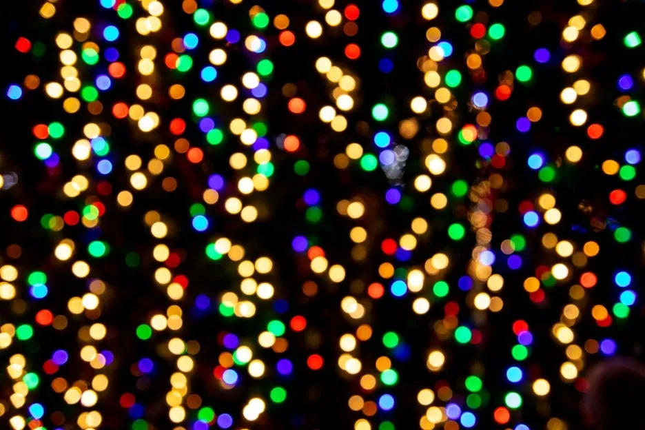 photo-1638205557198-10e147685a1d.jpg?type=w1