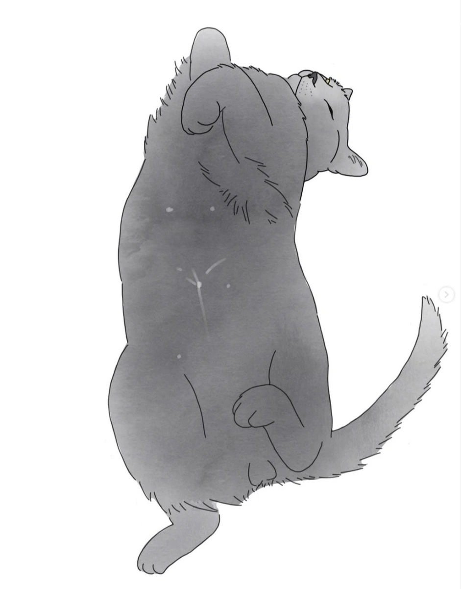 Screenshot 2023-09-15 at 00.07.44.JPG