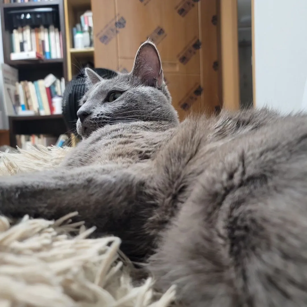 387715784_1420480958531789_6767826182588353582_n (1).heic