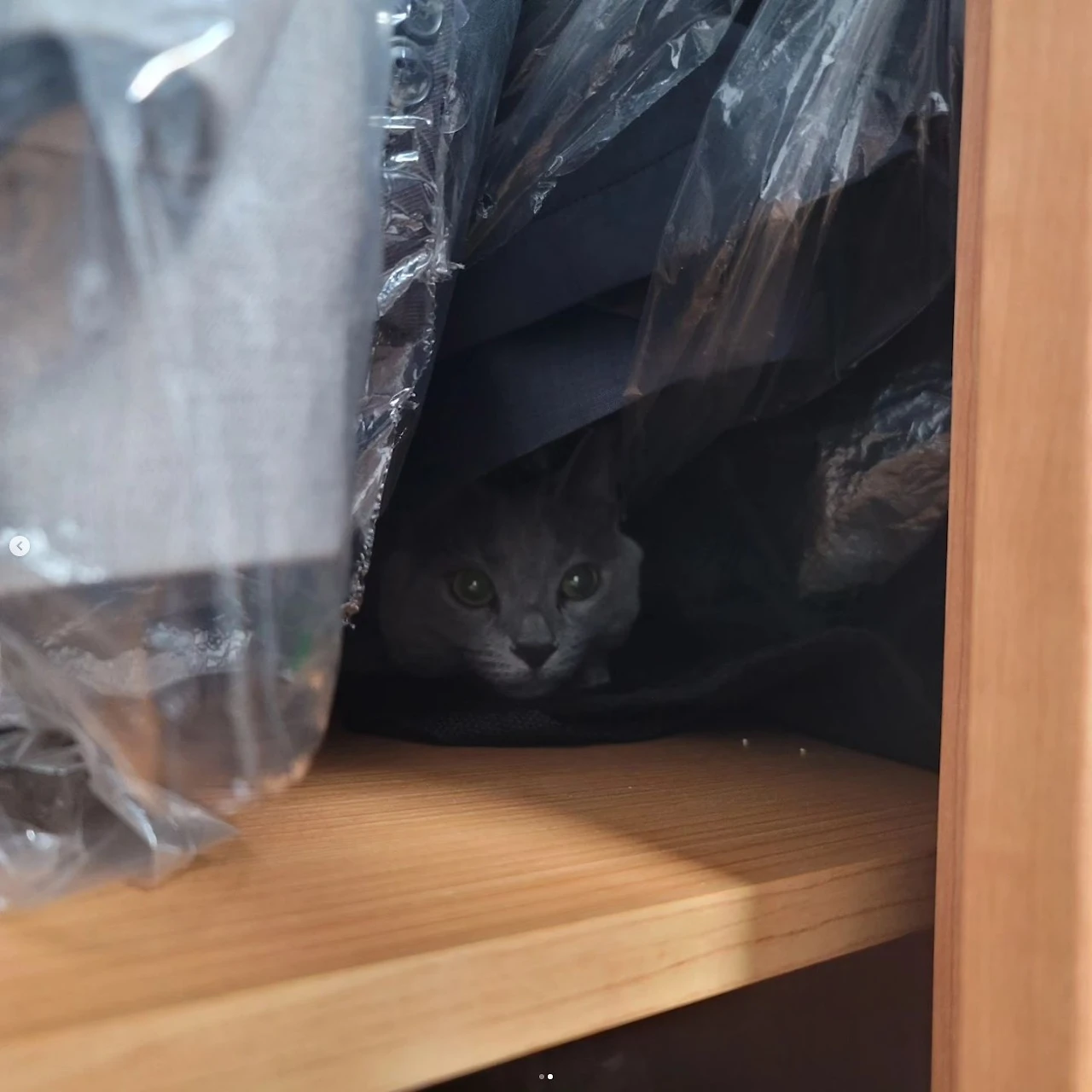 Screenshot 2023-09-18 at 15.34.21.JPG