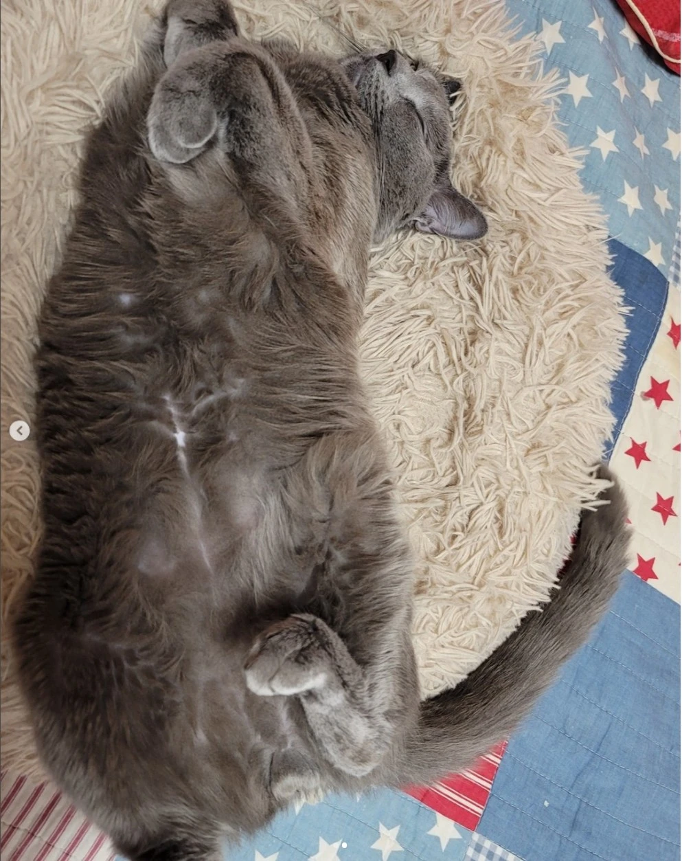 Screenshot 2023-09-15 at 00.08.36.JPG